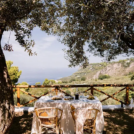 Amira * Anacapri (Isola di Capri)